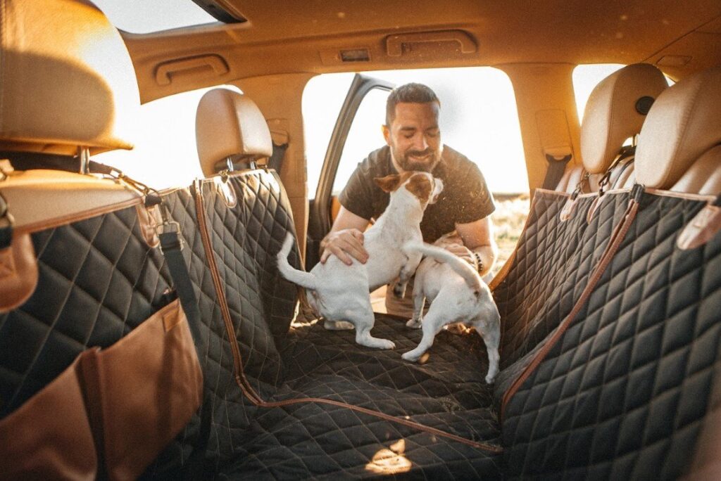 back seat protector for dogs