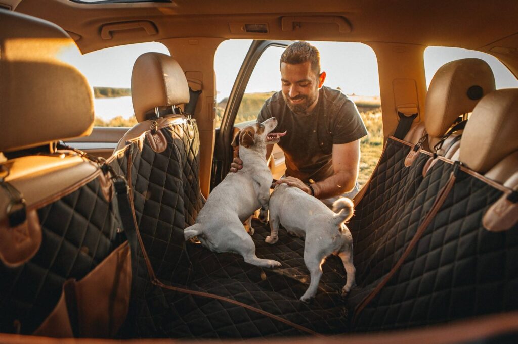 car dog leash